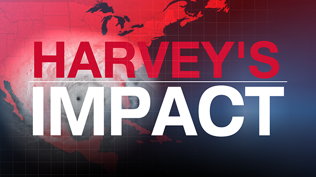 Article 130057 Thumbnail