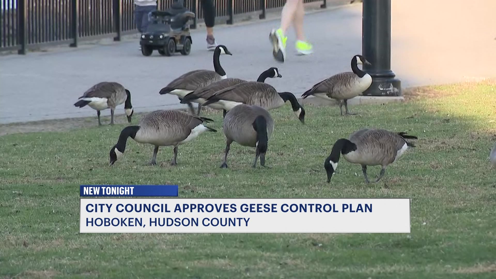 REtomgoosehoboken413_2026-04-13-22-22-12