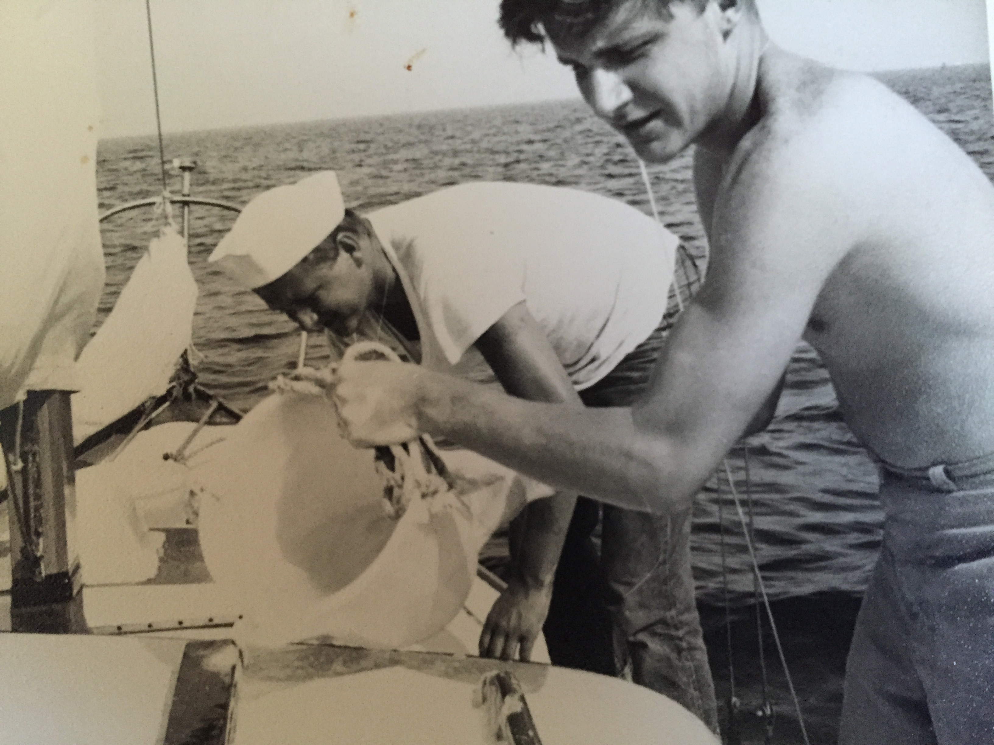 Article 276979 Hero Image