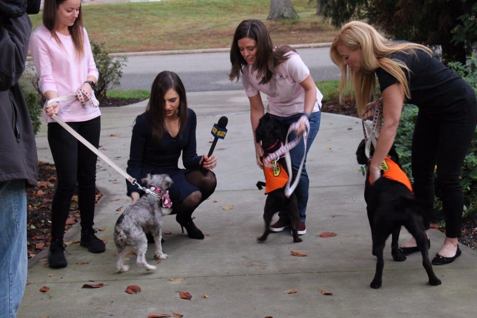 Article 138940 Thumbnail