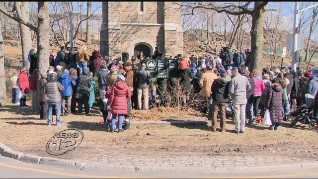 Article 107858 Thumbnail