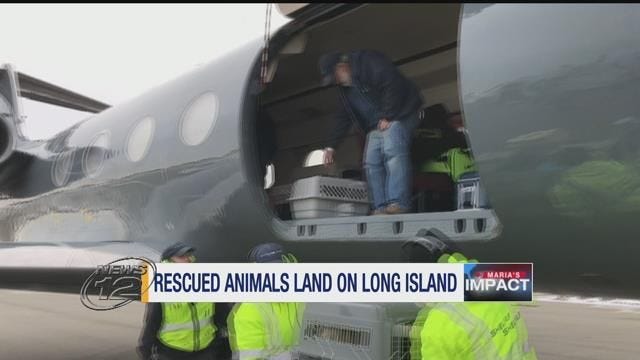 Article 144633 Thumbnail