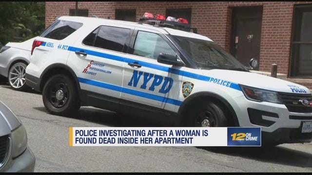 Article 44524 Thumbnail