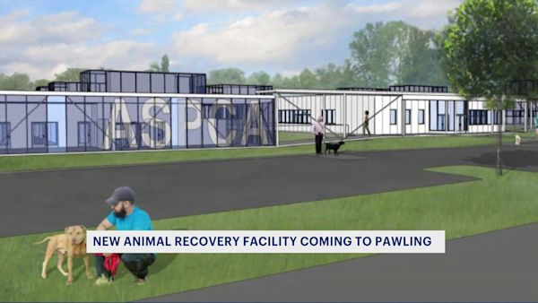 ASPCA to set up rehabilitation center for rescue dogs in Pawling
