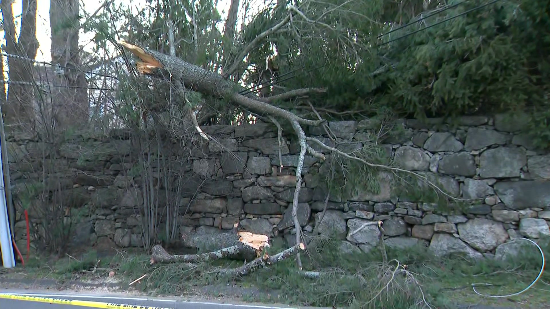 Mark7aml318_2026-03-18-07-09-36