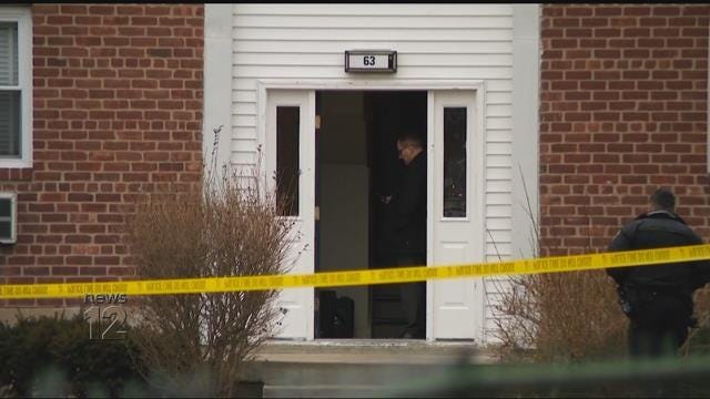 Article 9133 Thumbnail