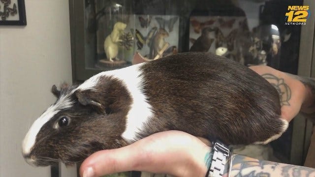 Article 152715 Thumbnail