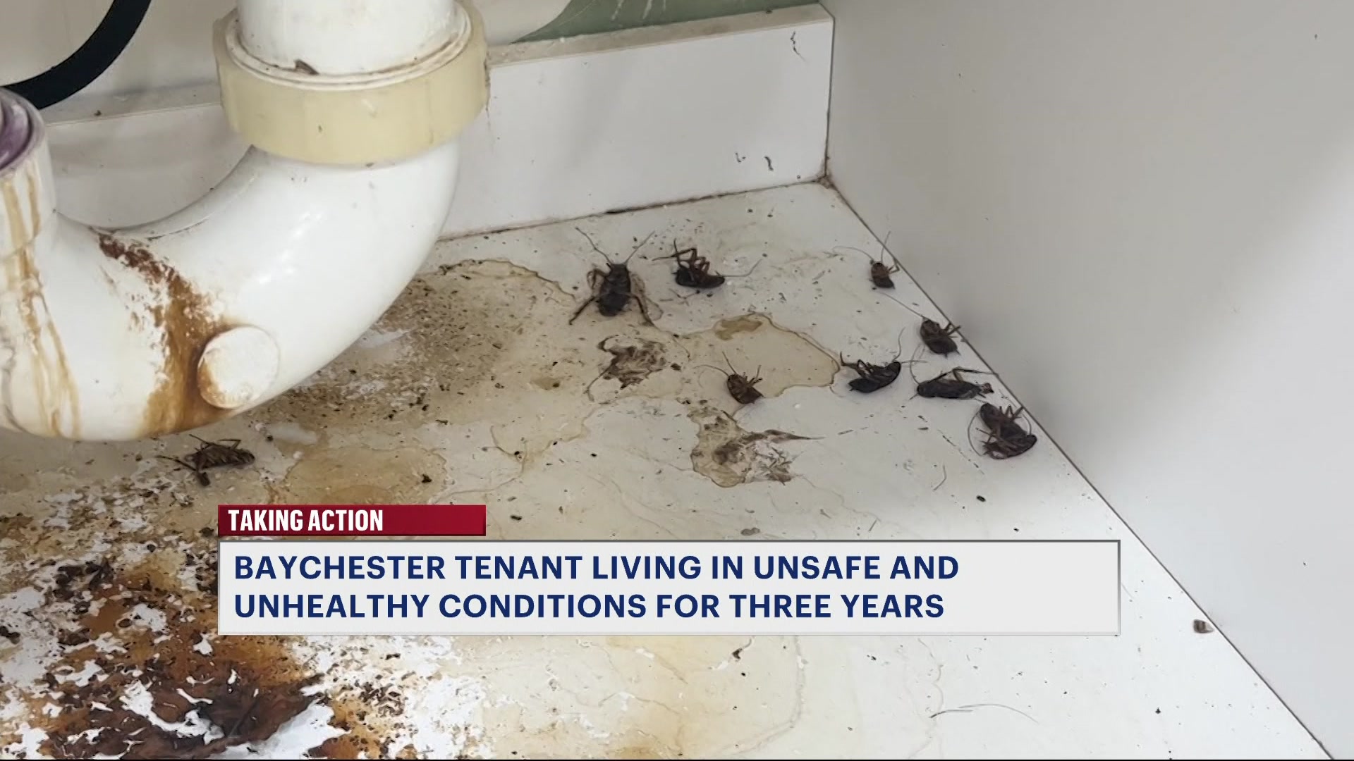 seymouravehousingconditions10pmCM_2026-04-07-22-12-31