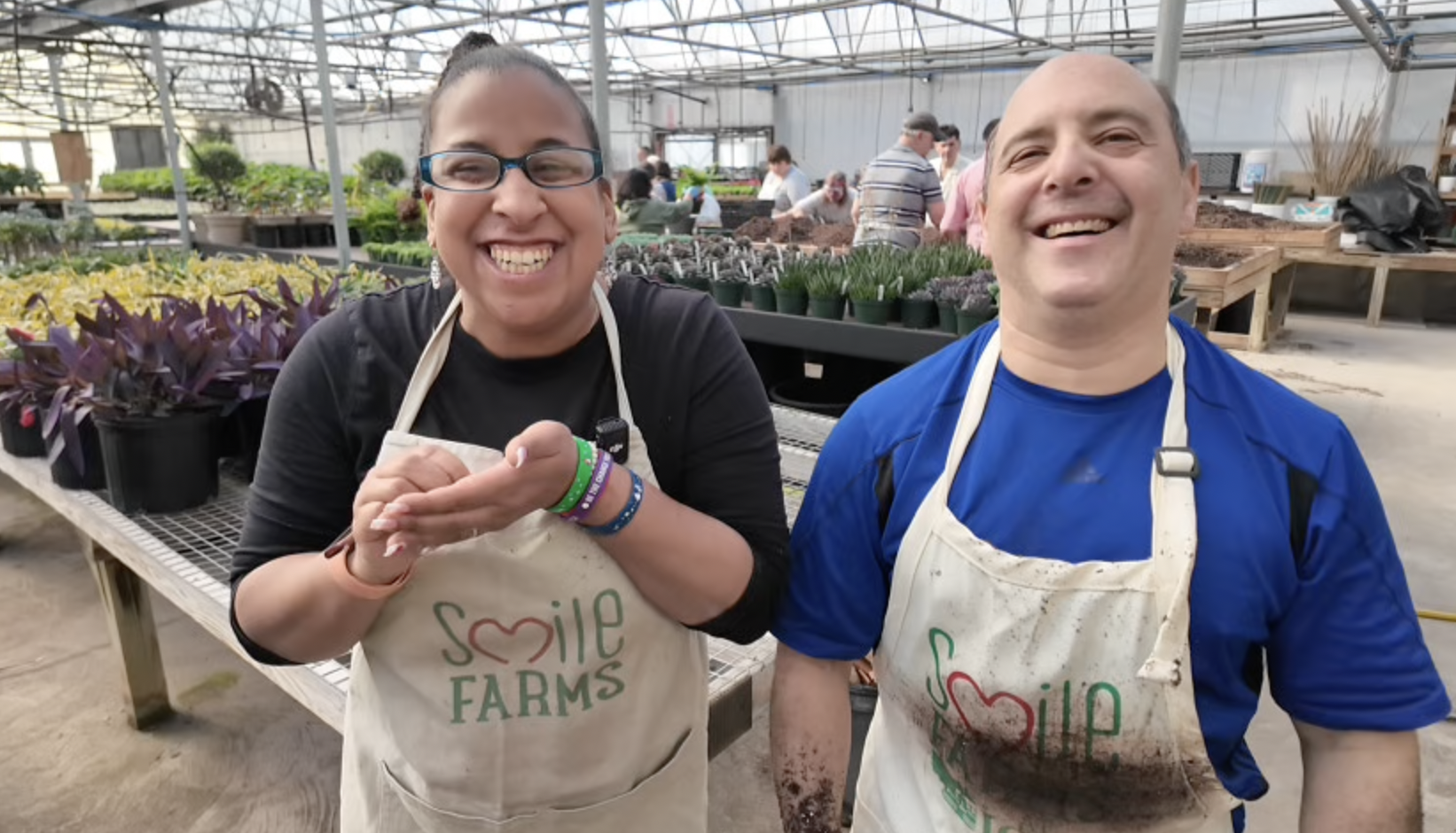 Screenshot 2026-02-11 at 12.55.44 PM.png