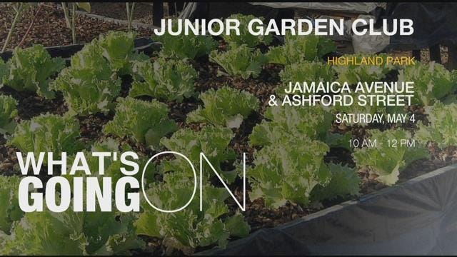 Article 110112 Thumbnail