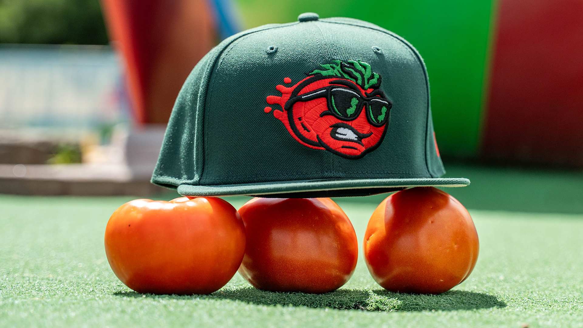 Tomatoes-1