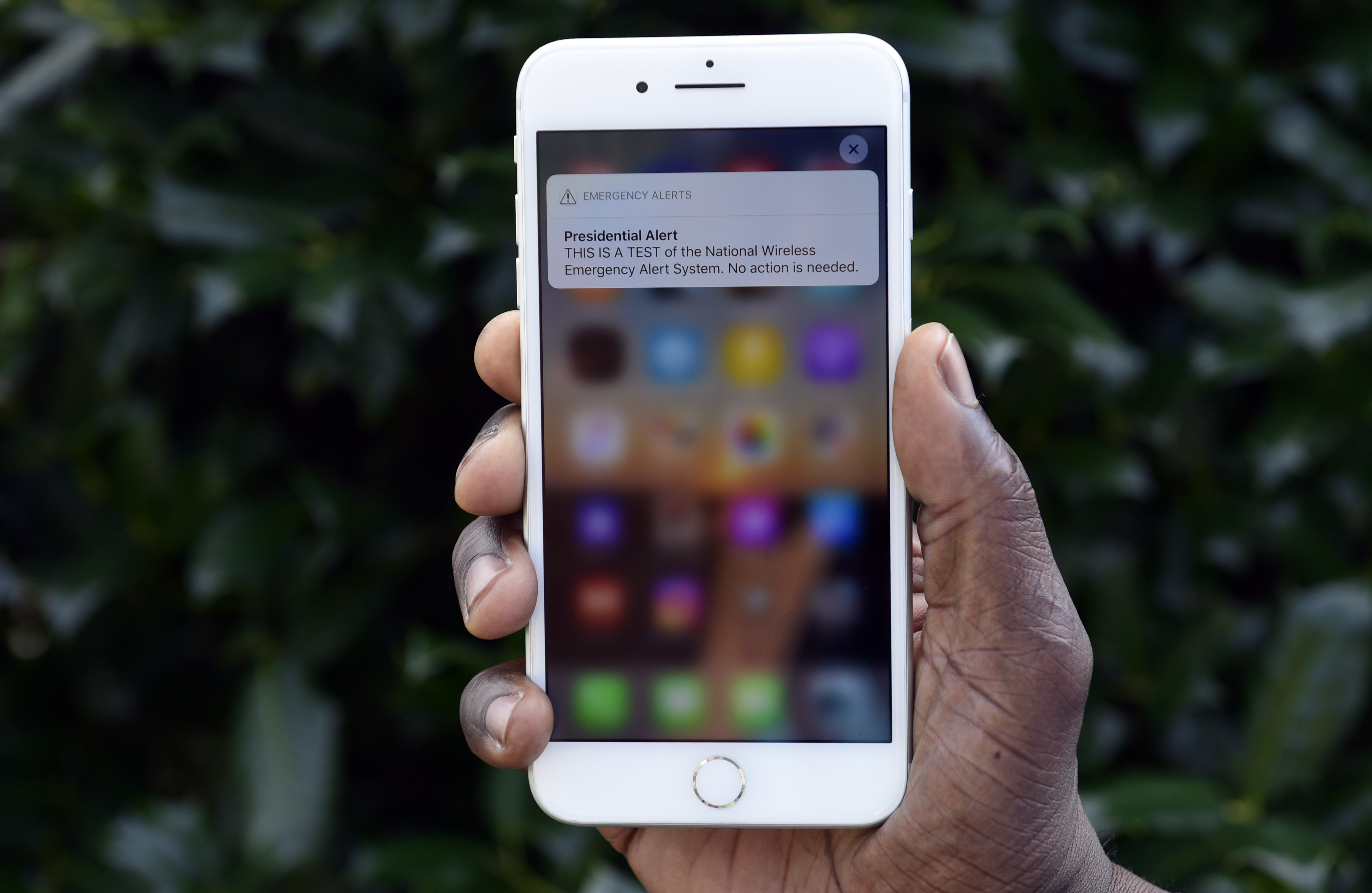 Article 269221 Hero Image