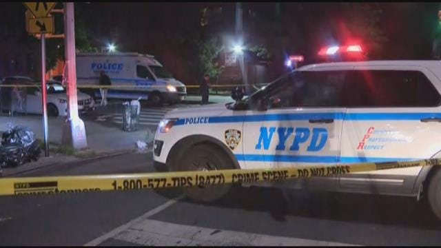 Article 12381 Thumbnail