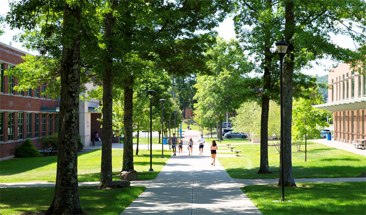 Article 29950 Thumbnail