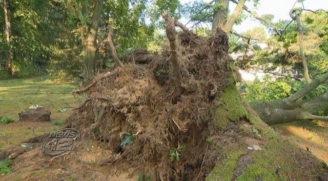 Article 37603 Thumbnail