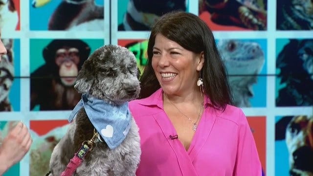 Article 3959 Thumbnail