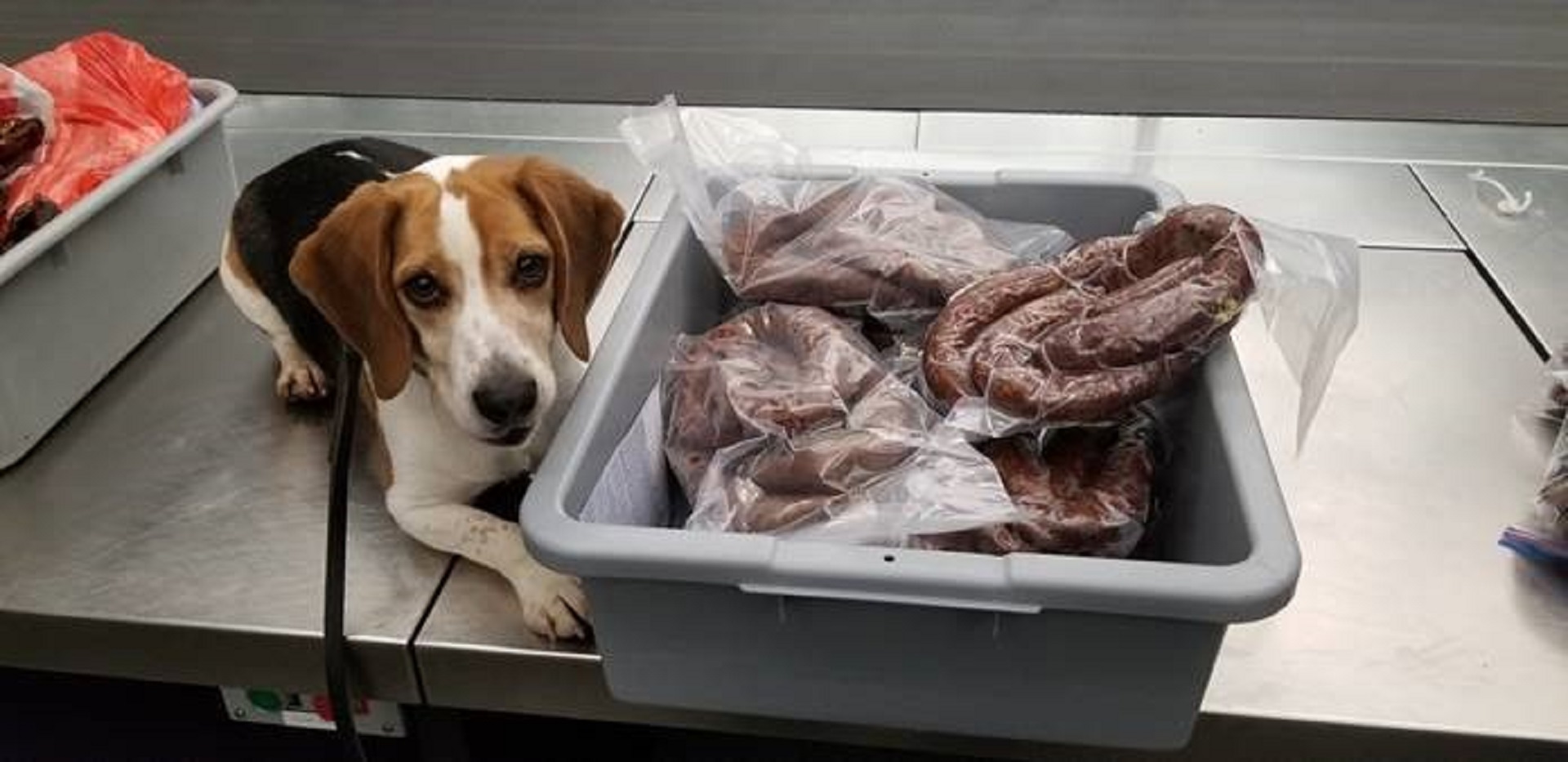 Article 249286 Hero Image