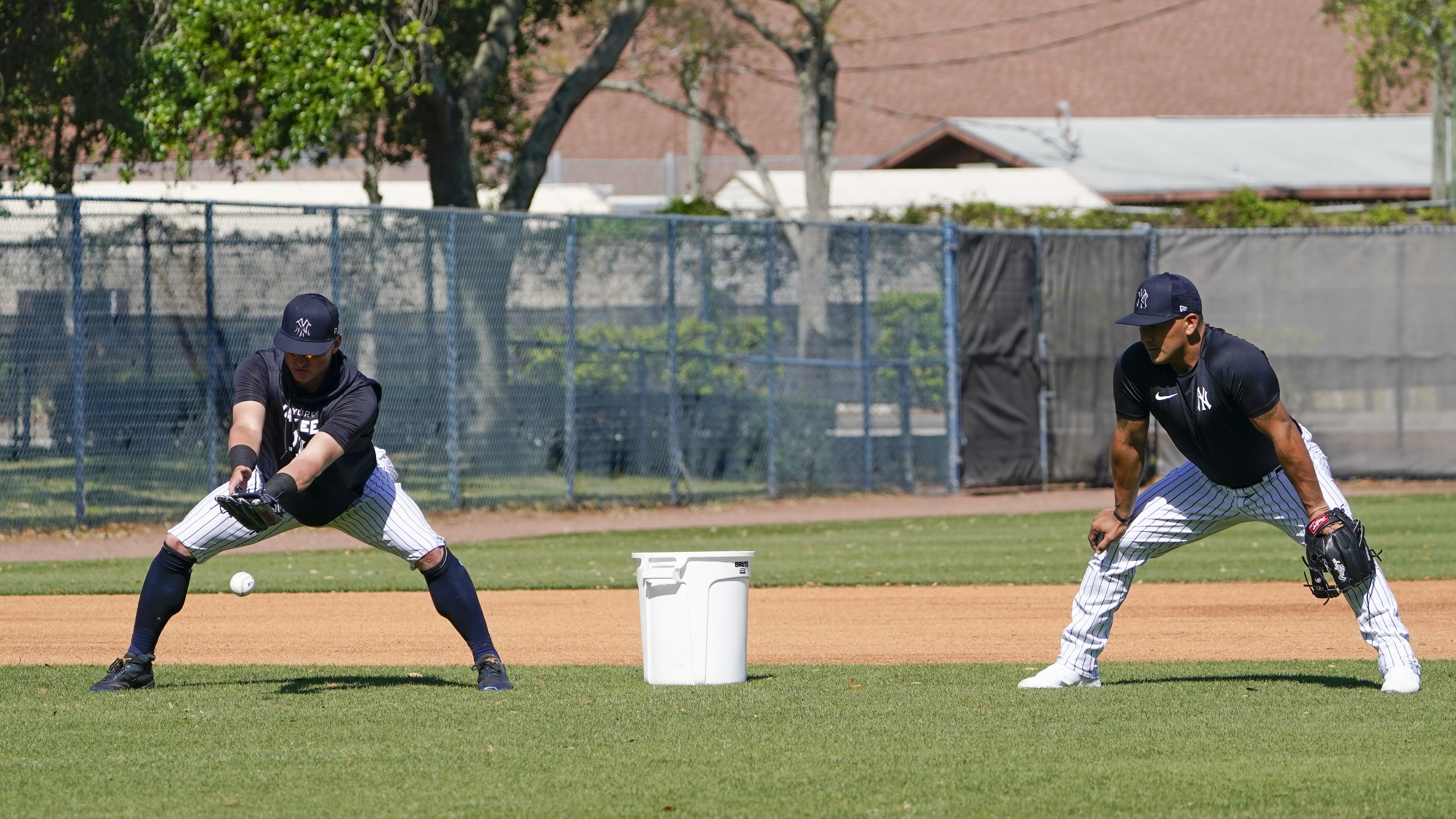 Article 287991 Hero Image