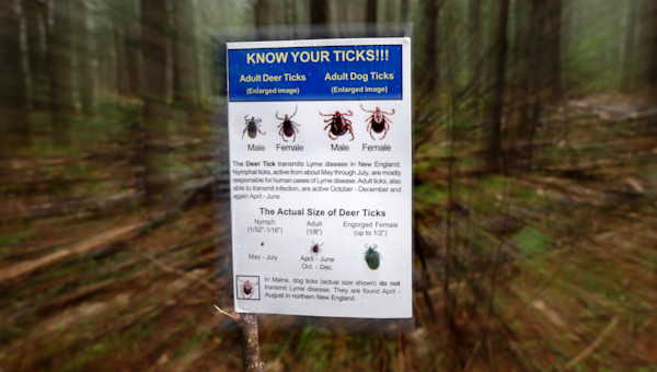 12 Signs And Symptoms Of Untreated Lyme Disease 12 Signs And Symptoms Of Untreated Lyme Disease