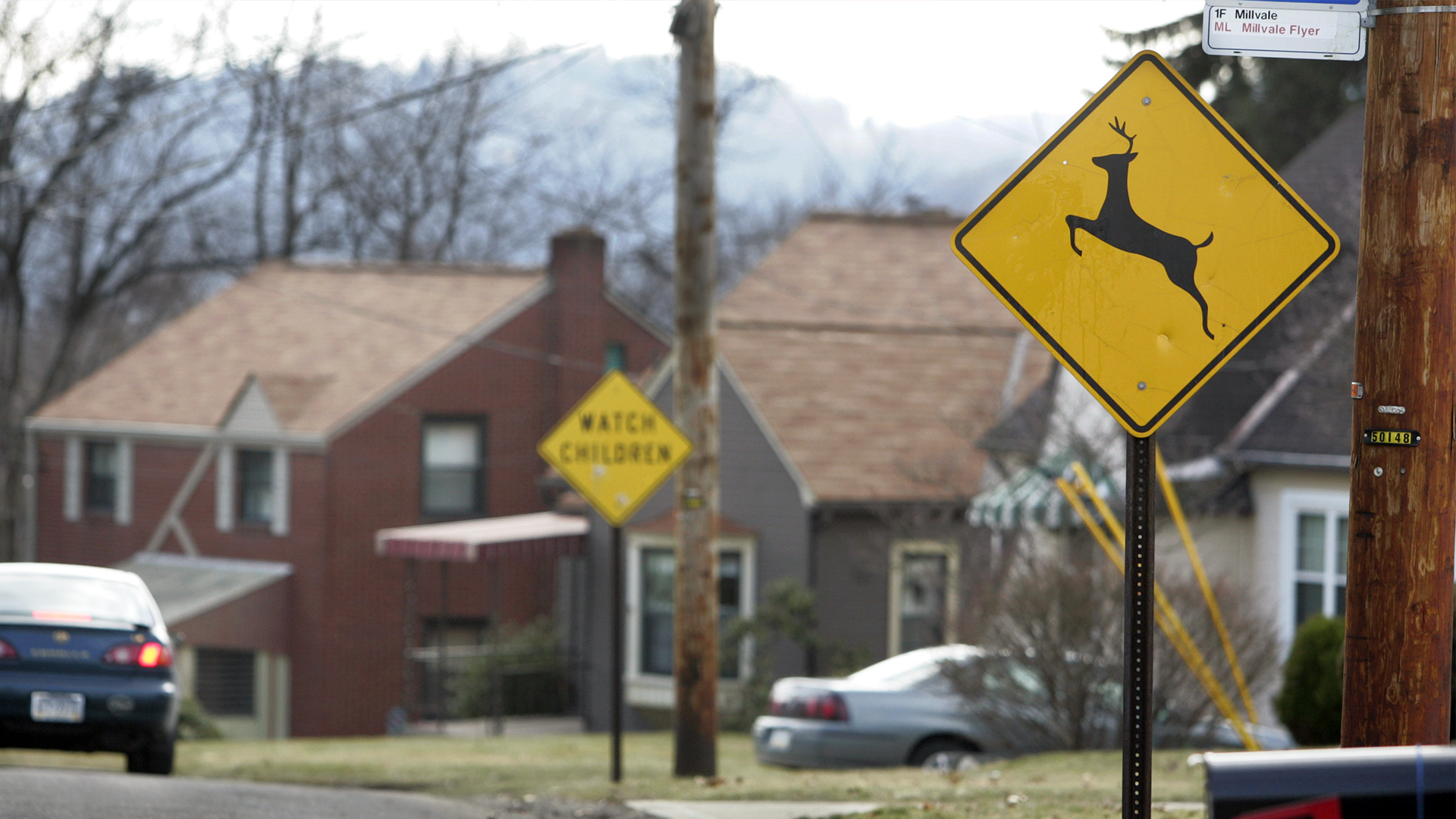 Article 276807 Hero Image