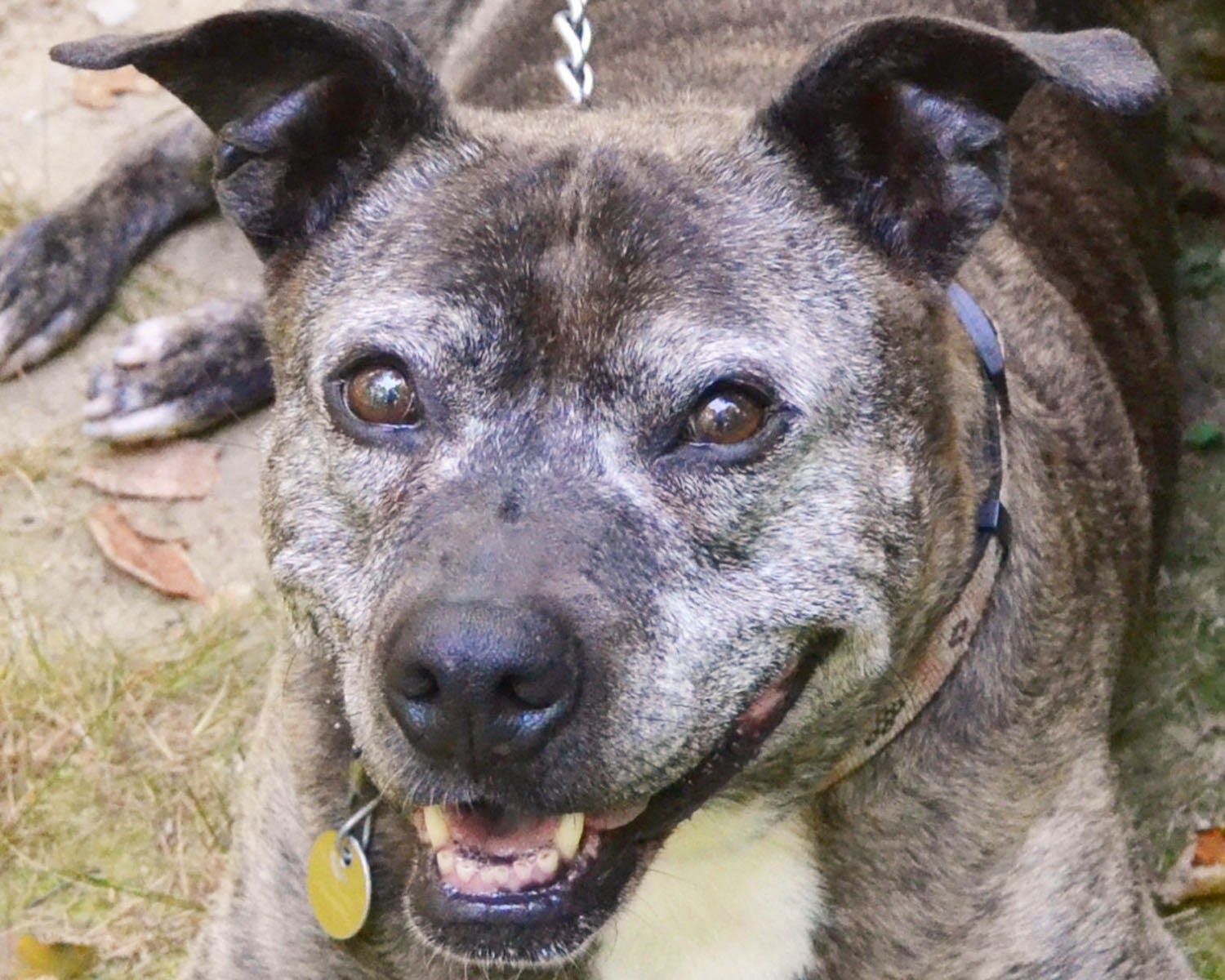 Article 47225 Thumbnail