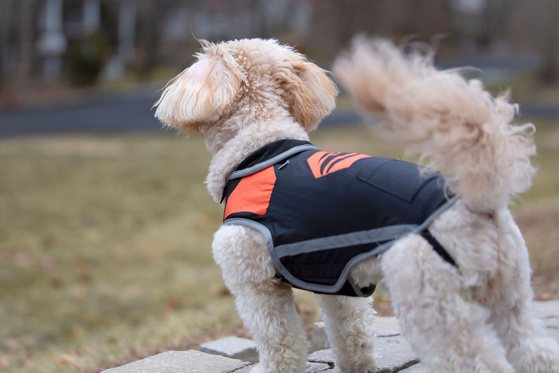 Article 251314 Hero Image