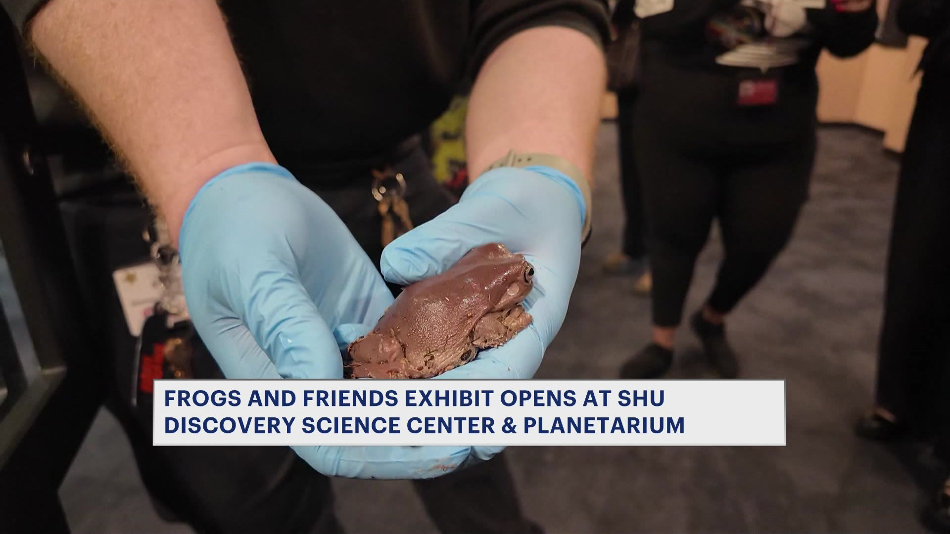 FrogsAndFriendsVS430Hit040626_2026-04-06-16-59-31