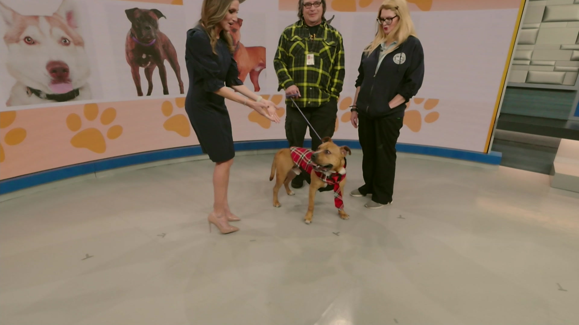 PAWS and PALS_1212_2025-12-12-10-31-12