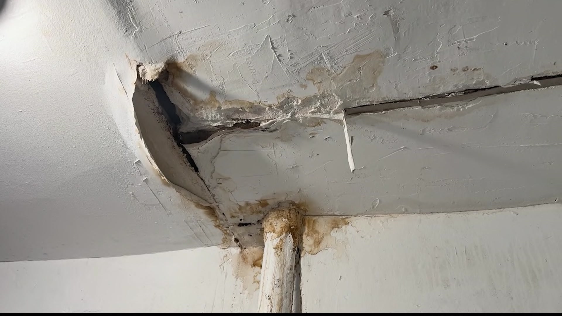 BXCEILINGCALIXTO4126_2026-04-01-05-32-36