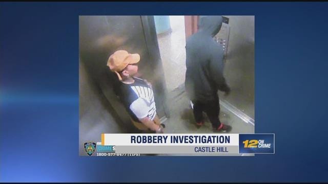 Article 46345 Thumbnail