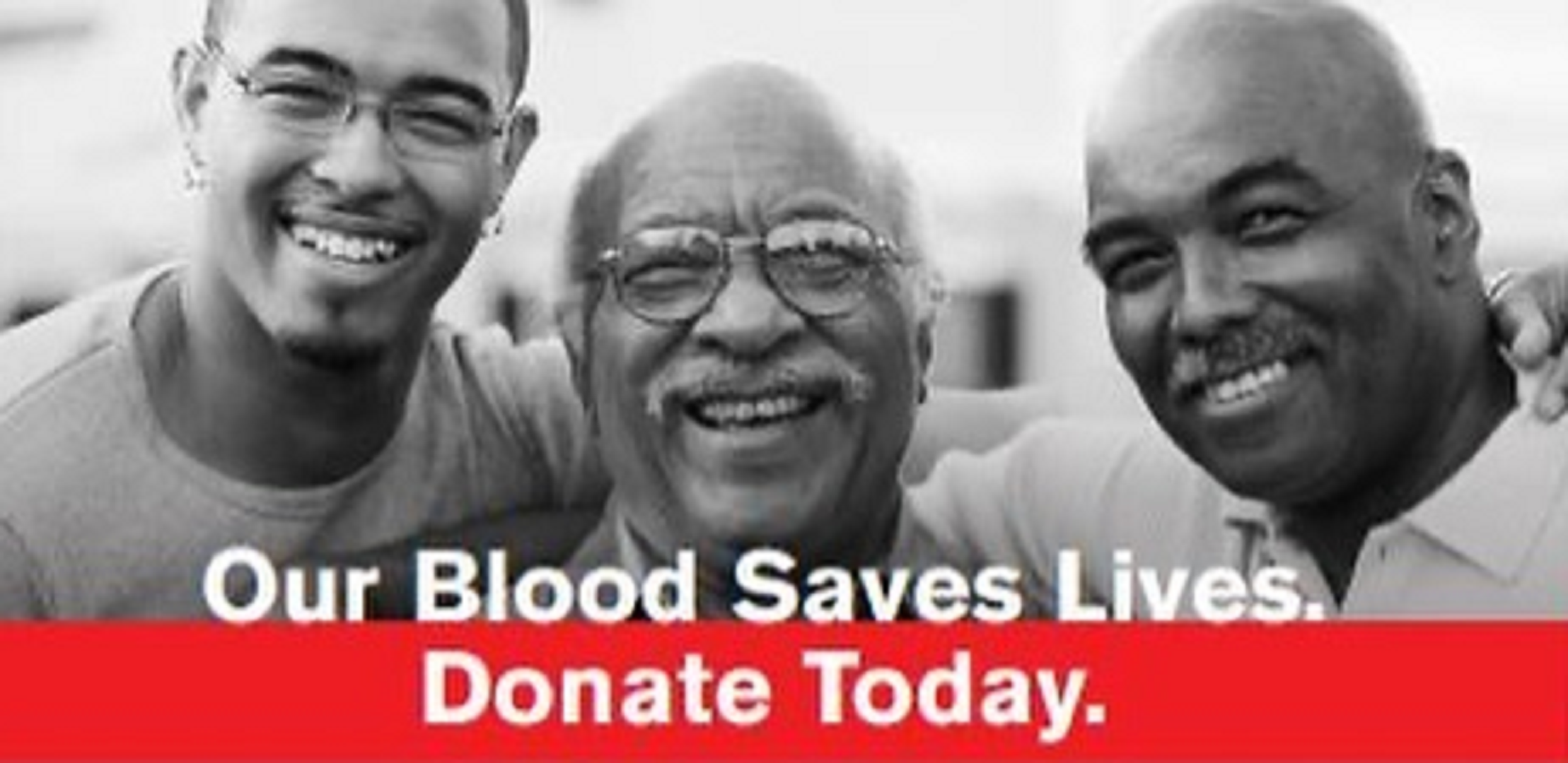 Article 307334 Hero Image