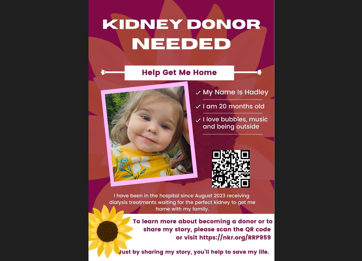 WCHVKidneyDonationMPalmer001.PNG