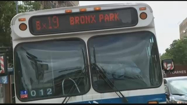 The Bx19: A Comprehensive Guide to the Bronx's Busy Bus Route