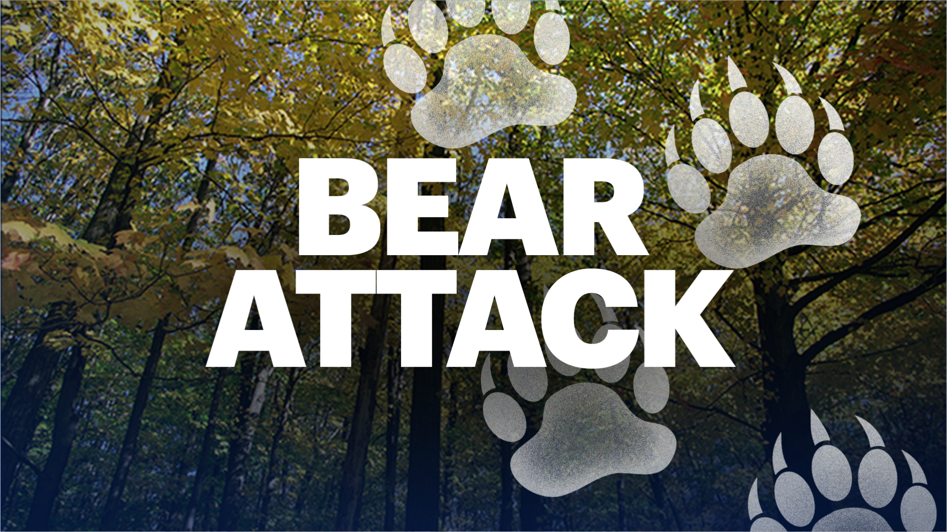 New Jersey Woman Mauled by Bear While Checking Her Mail