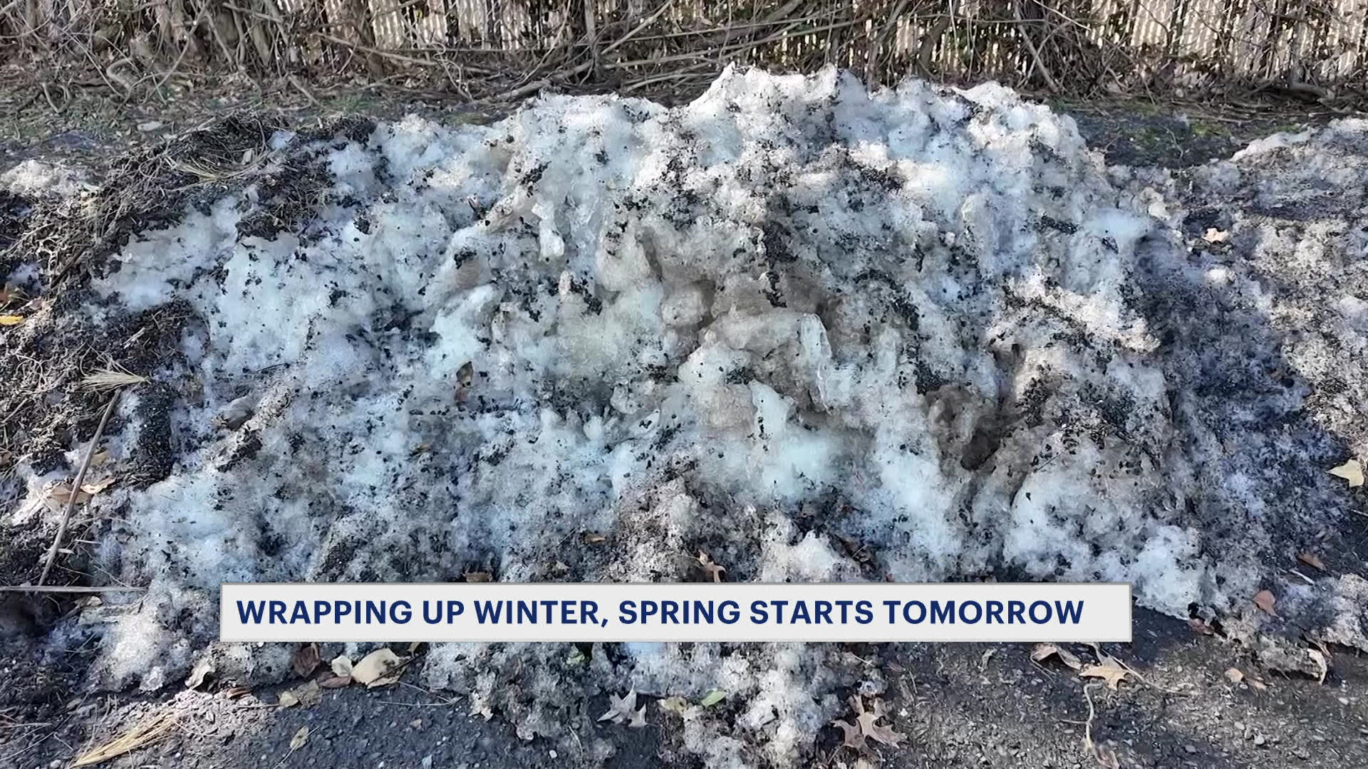 319202612Jim_2026-03-19-12-22-28