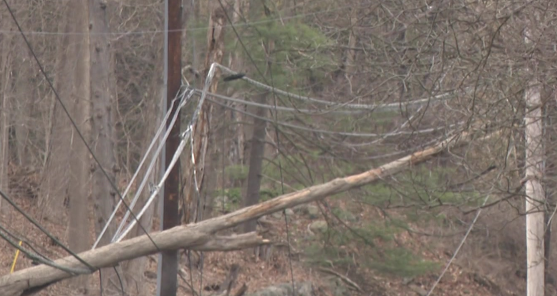 WCHVTreeDownINKatonahSG001