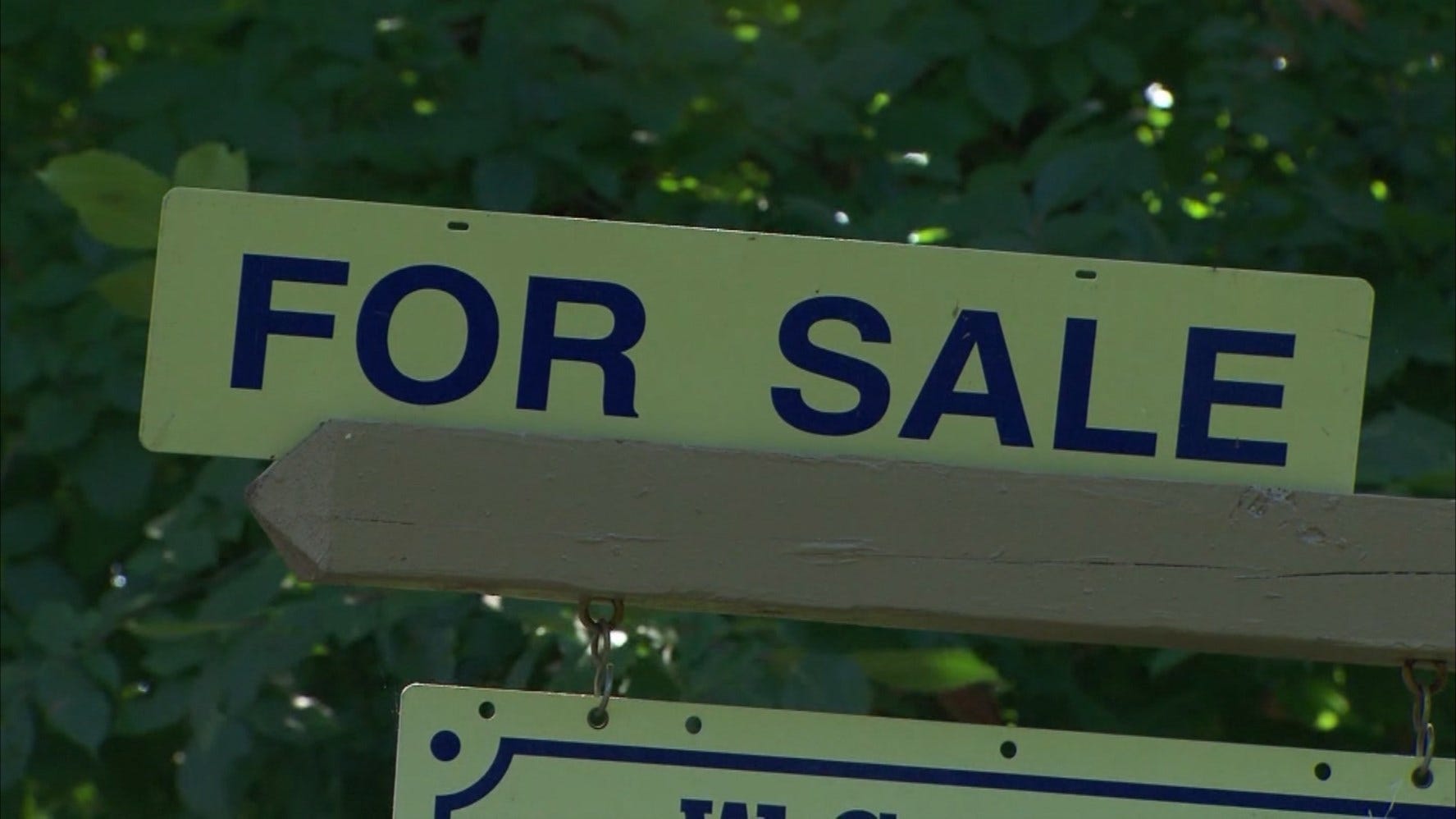 Article 46613 Thumbnail