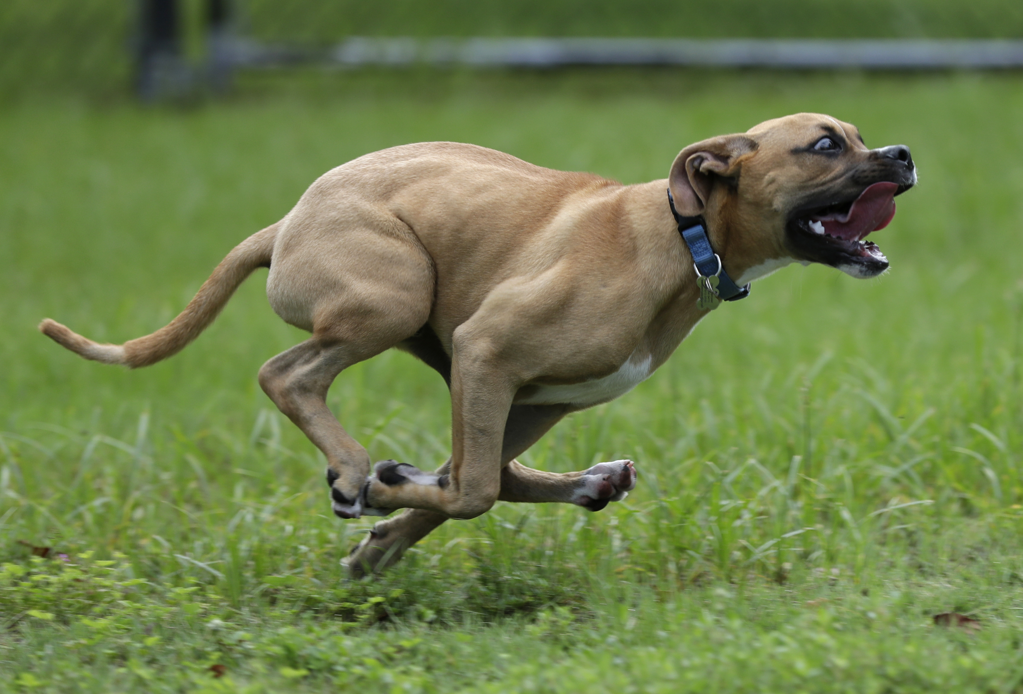 Article 278829 Hero Image