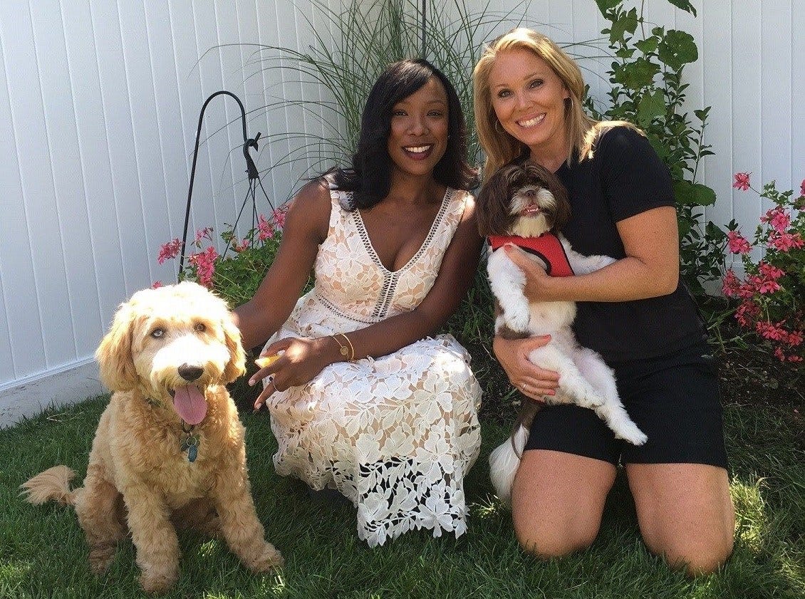 Article 129146 Thumbnail