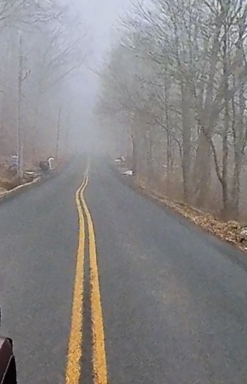 Bloomingburg resident says weekend crash highlights road safety concerns