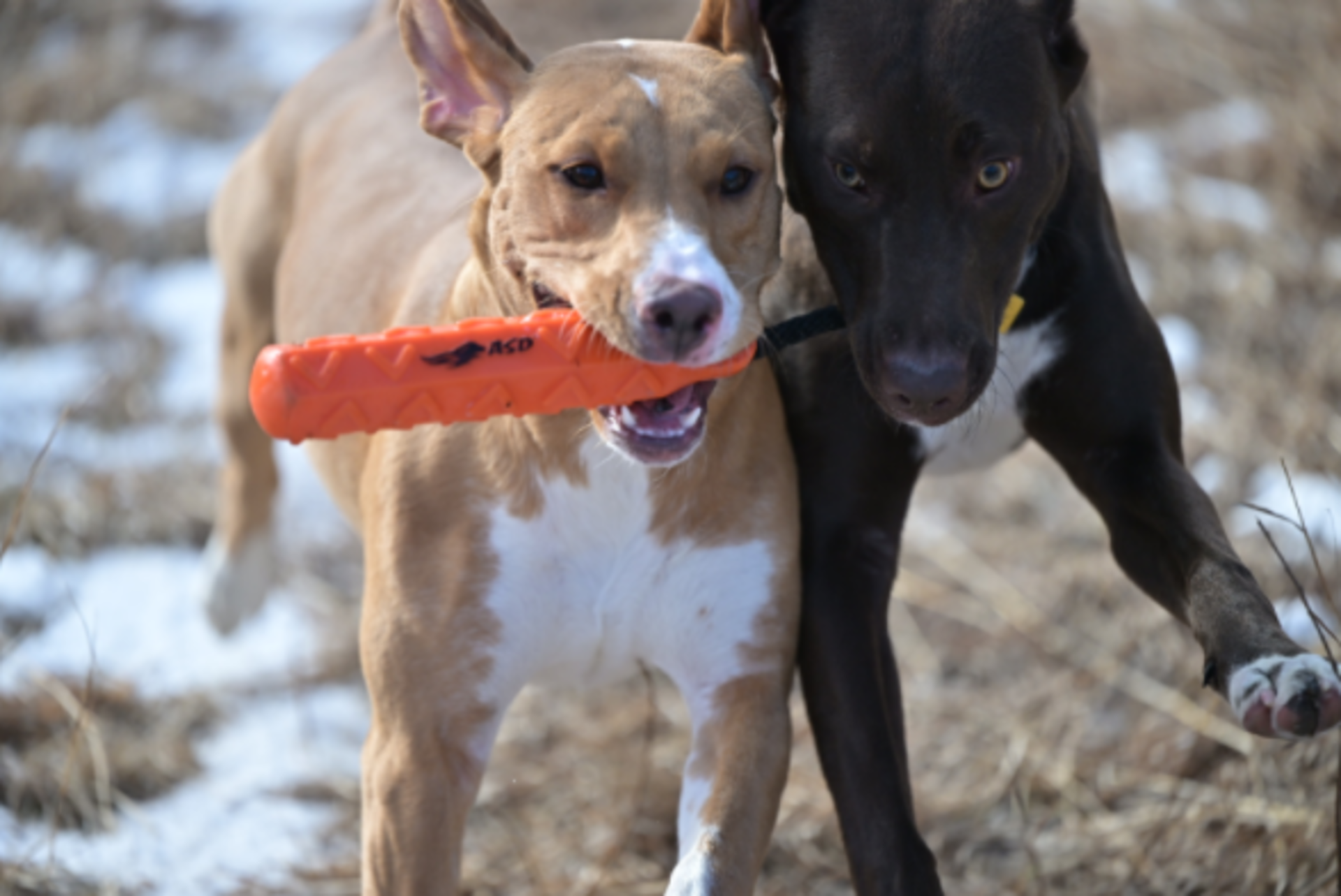 Article 285613 Hero Image