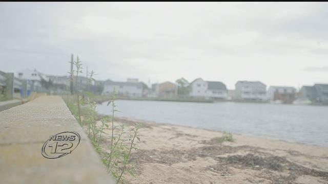 Article 146454 Thumbnail