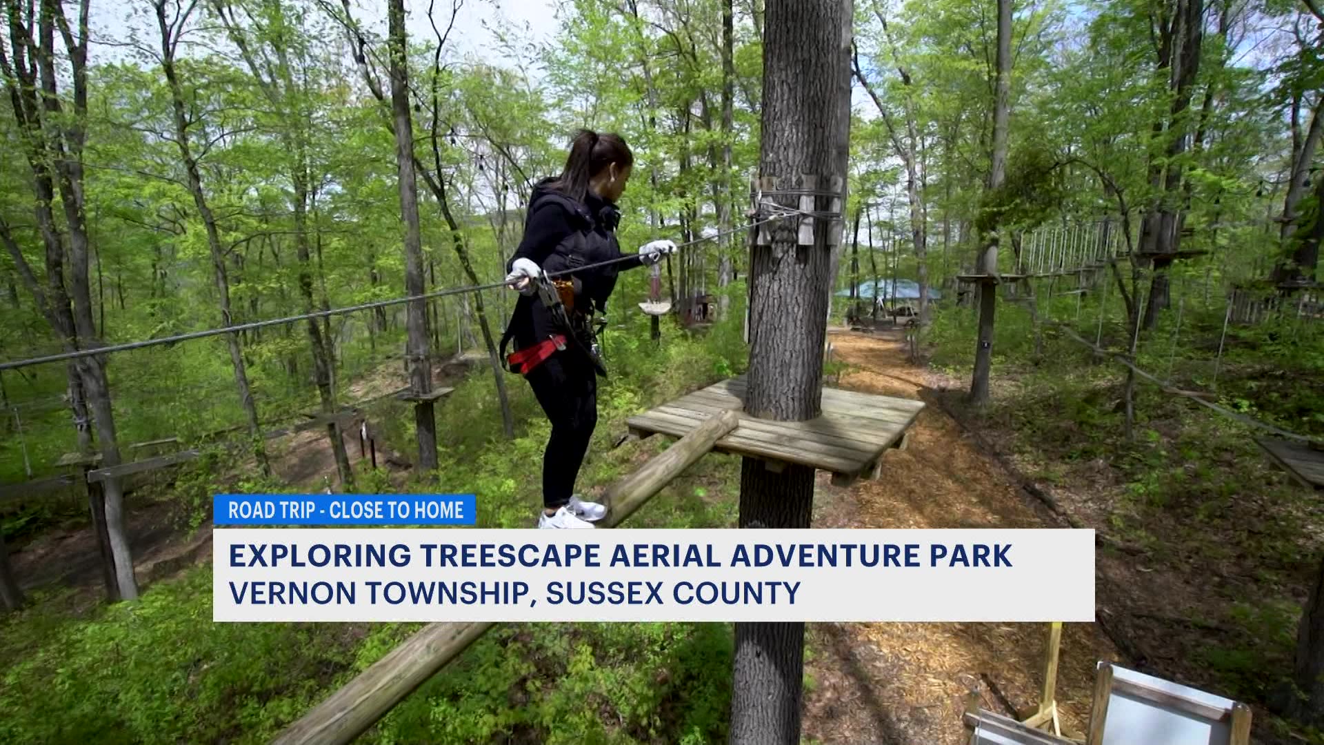 Looking for an adventure Climb on the high ropes at Treescape Aerial Adventure Park in Vernon