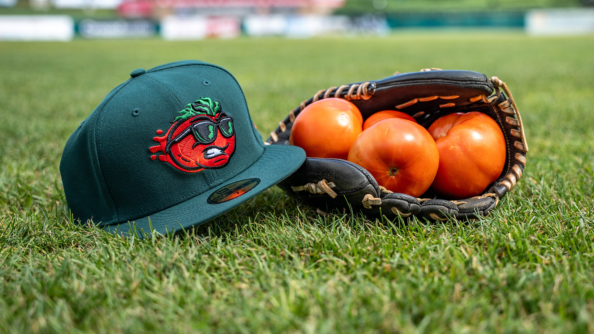 Tomatoes-4.jpg