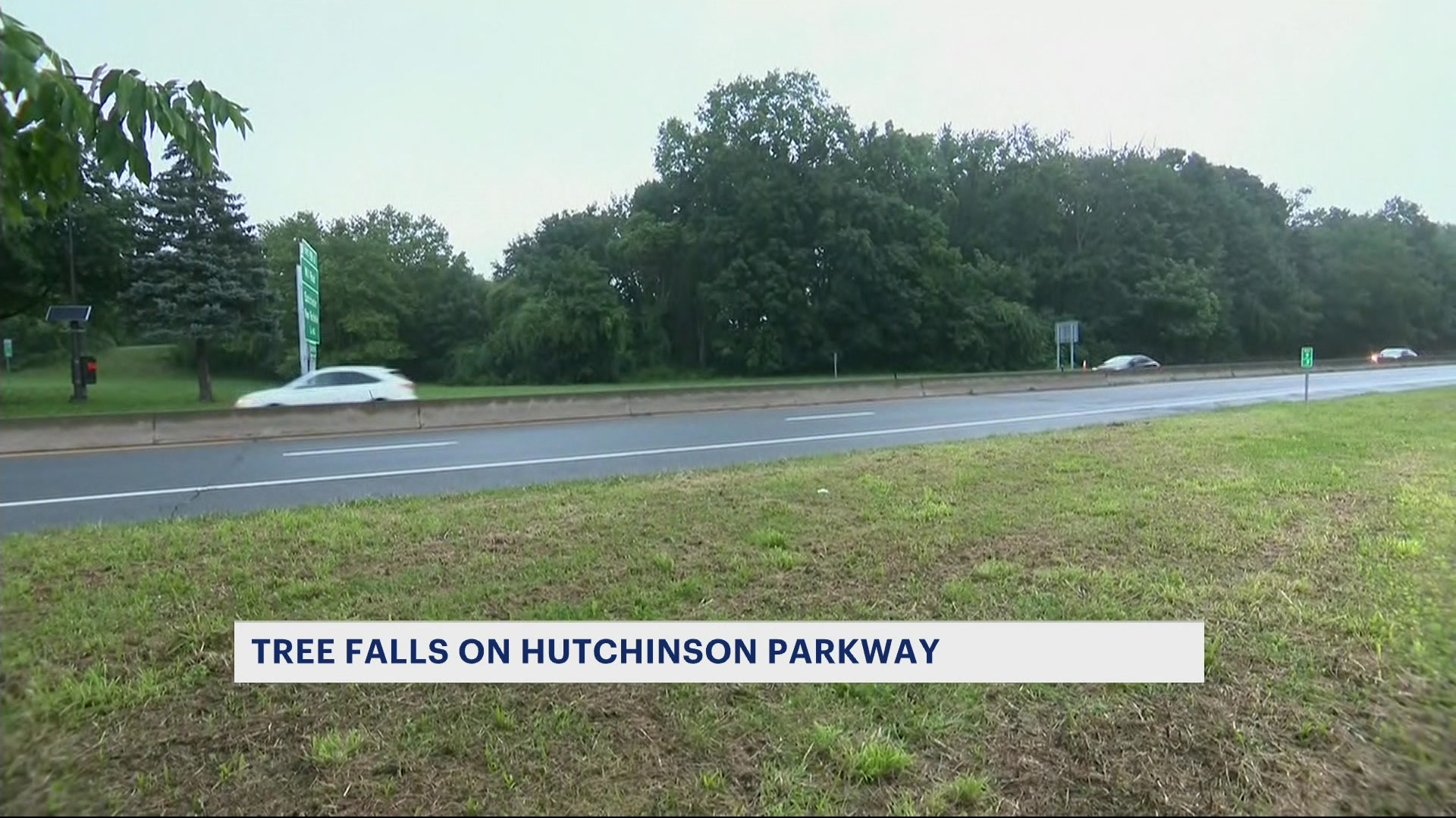Hutchinson River Parkway reopens following tree's removal