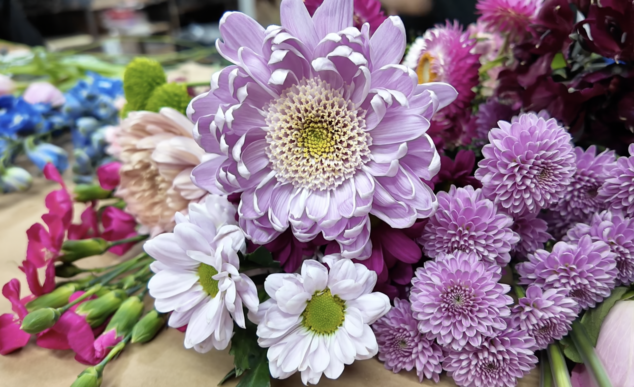 Screenshot 2026-02-09 at 10.05.39 AM.png