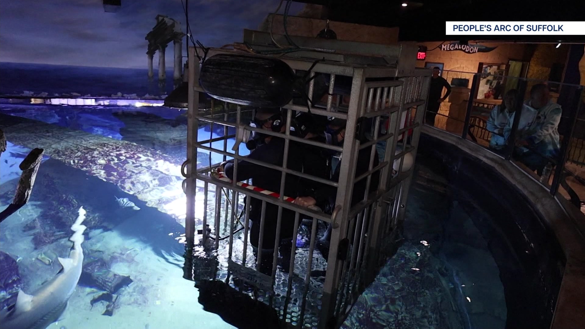 LISHARKTANK401_2026-04-01-05-19-43