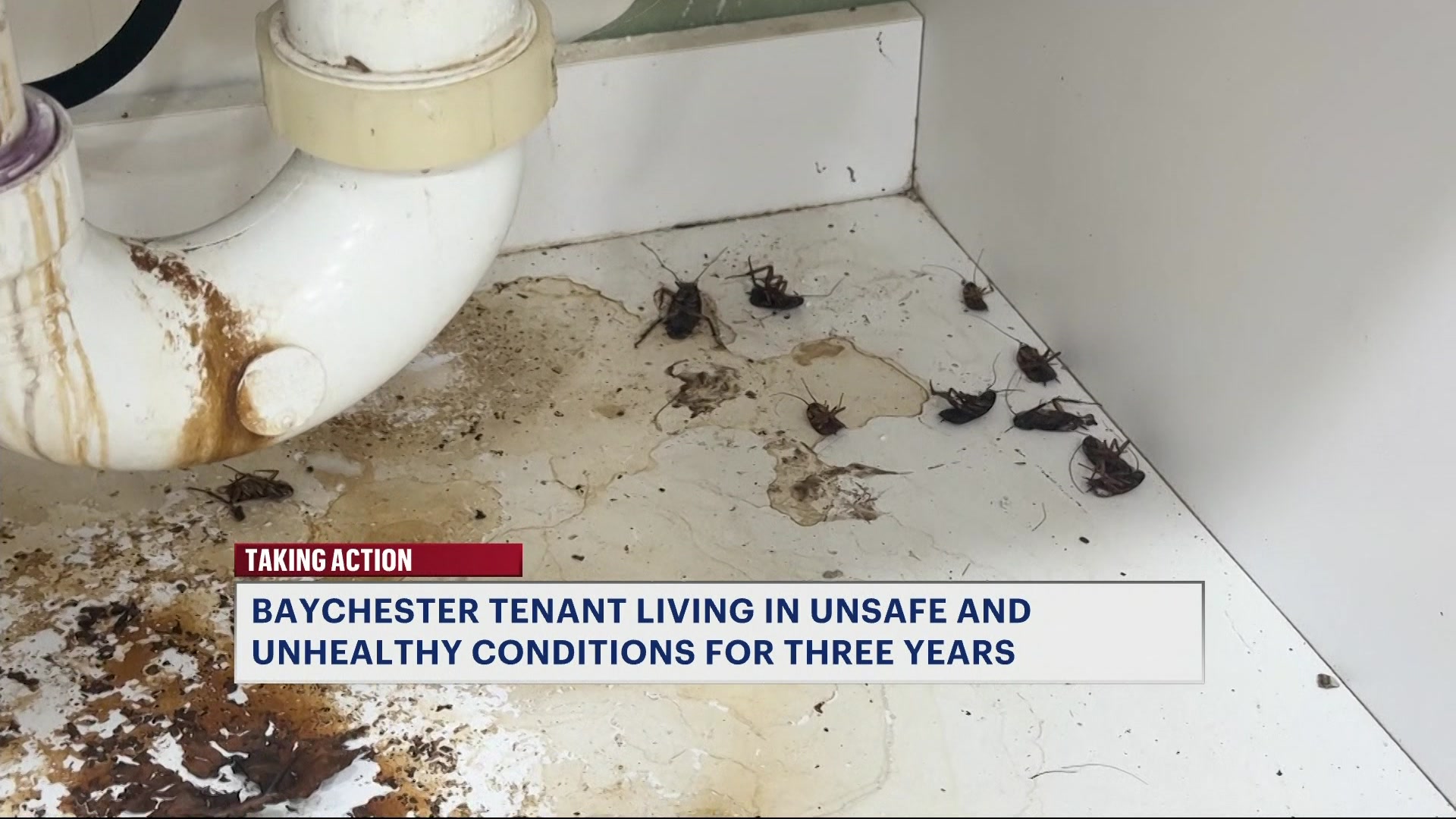 seymouravehousingconditionsCM_2026-04-07-17-17-46