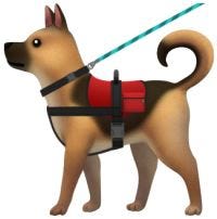 Article 121045 Thumbnail