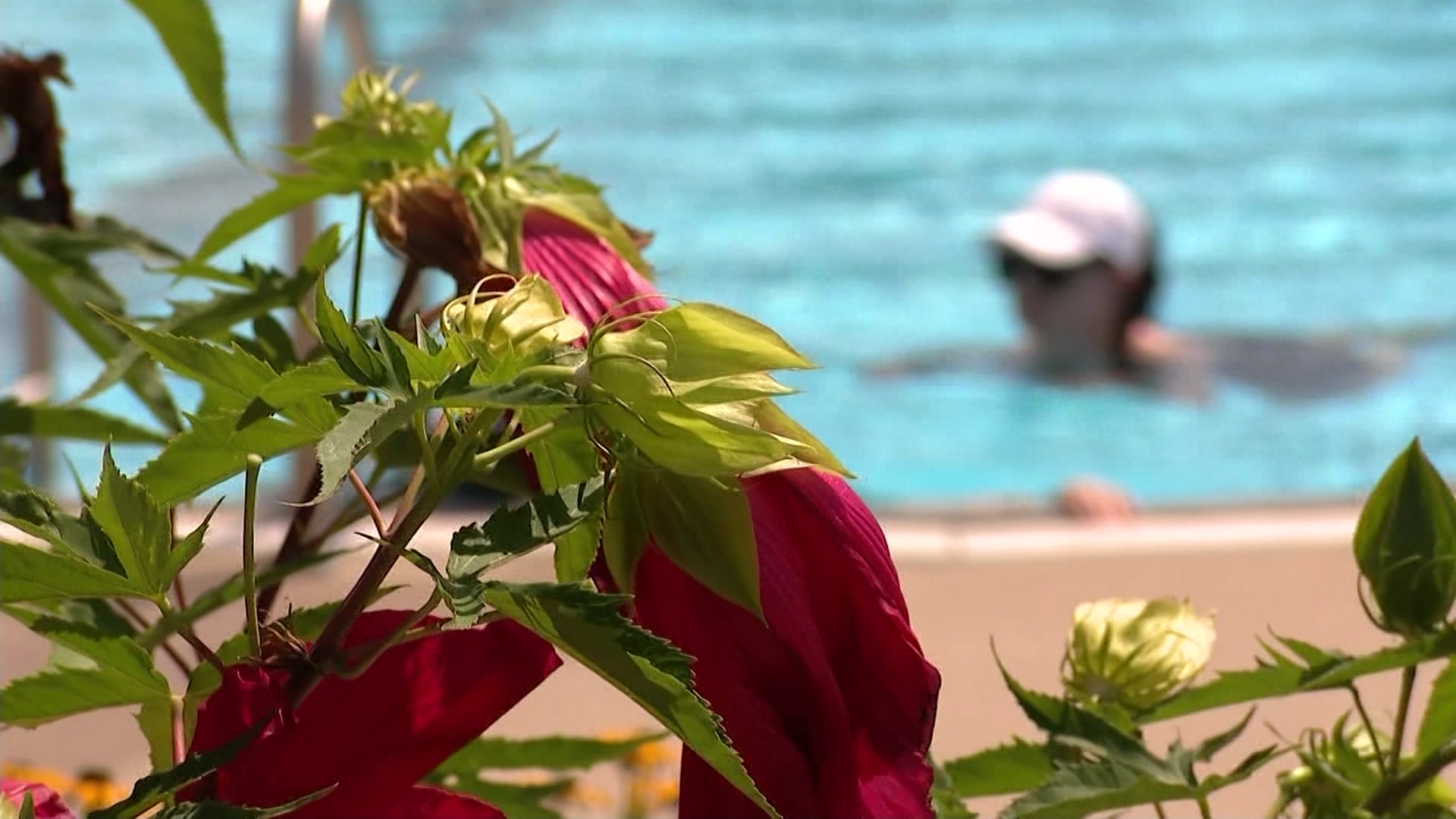 Article 301178 Thumbnail